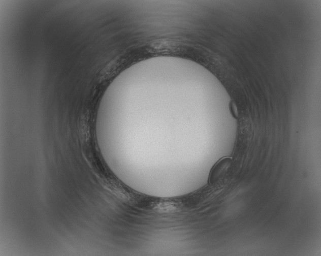 X0000067330751200604211909