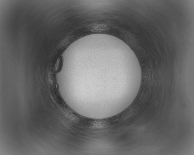 X0000067330755200604211909
