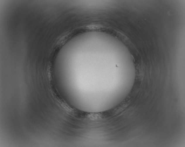 X0000067330762200604211909