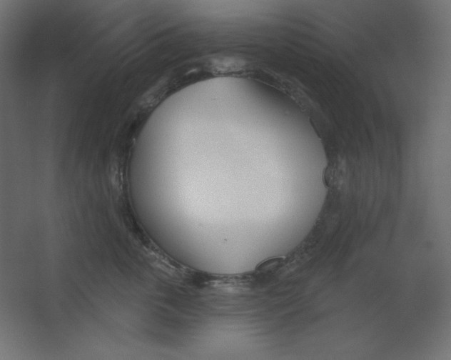 X0000067330763200604211909