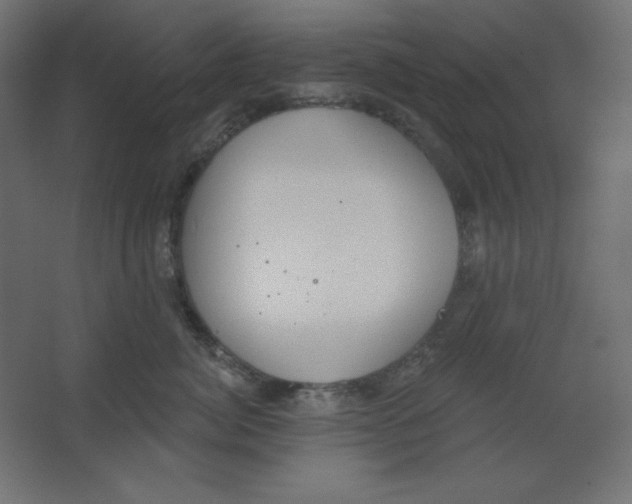 X0000067330764200604211909