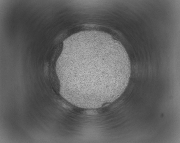 X0000067330765200604211909