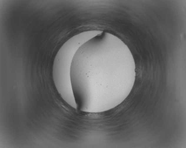 X0000067330766200604211909