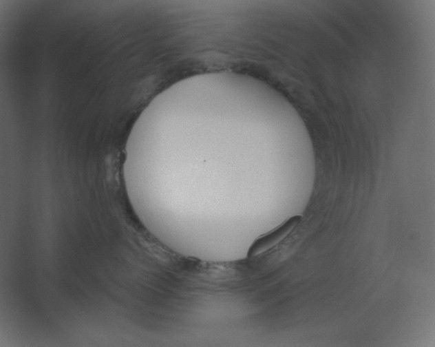 X0000067330768200604211909