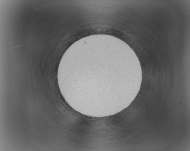 X0000067330769200604211908