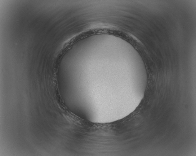X0000067330775200604211908
