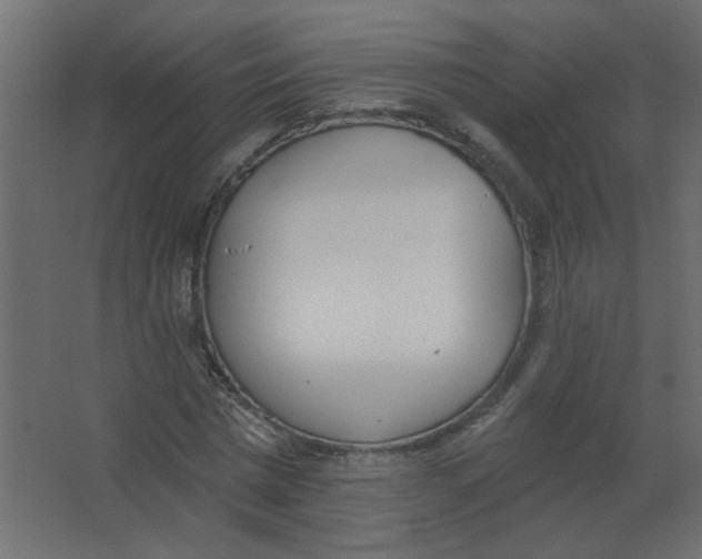 X0000067330777200604211908