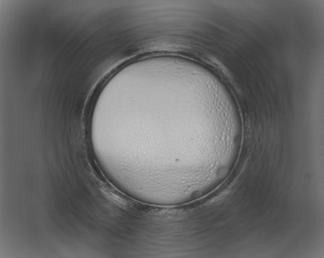 X0000067330779200604211908