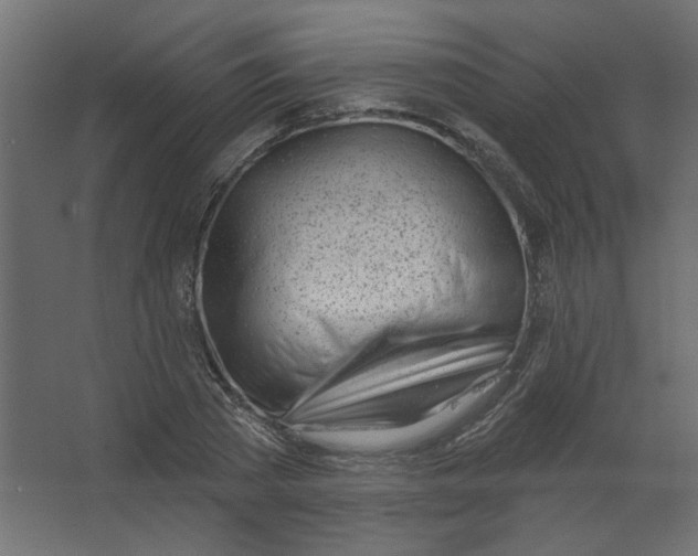X0000067330785200604211908