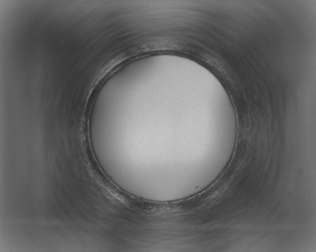 X0000067330786200604211908