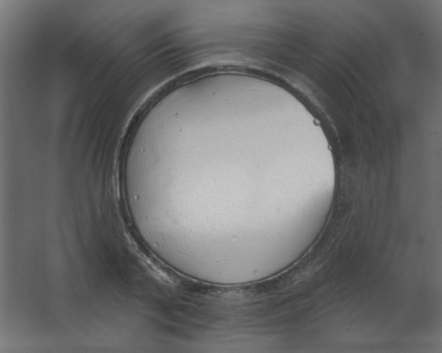 X0000067330791200604211908