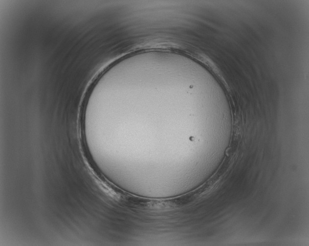 X0000067330795200604211908