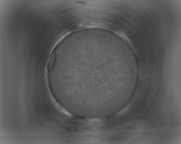X0000067330798200604211908
