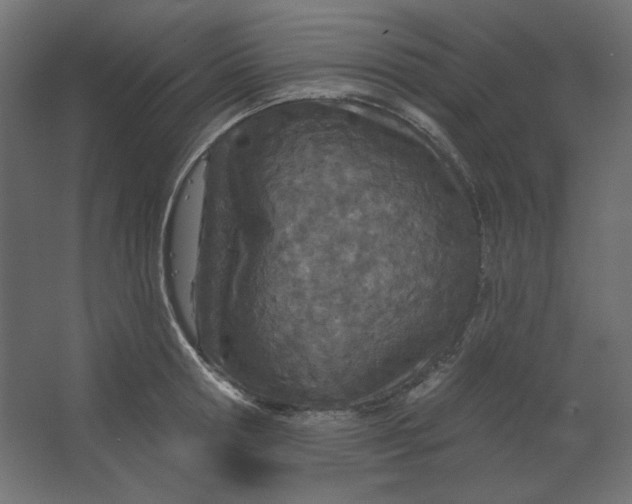 X0000067330802200604211908