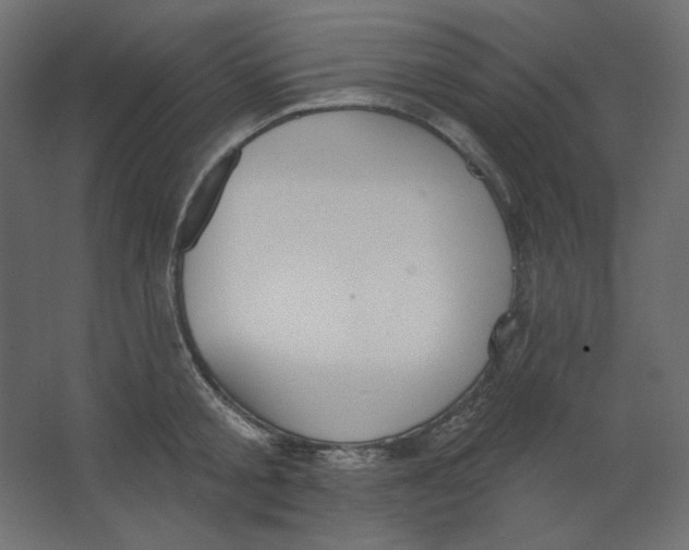 X0000067330805200604211908