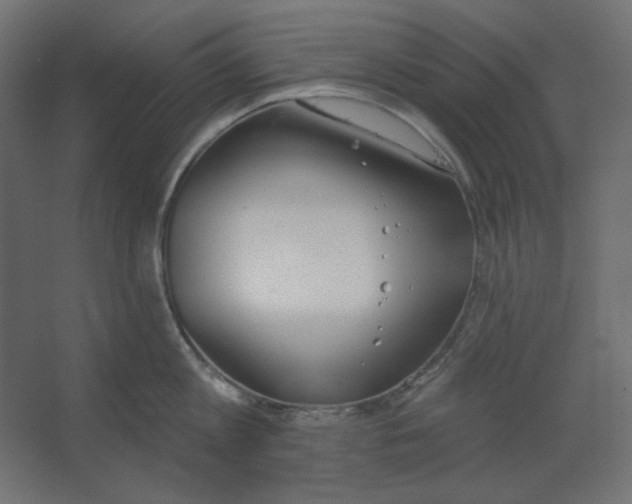 X0000067330813200604211908