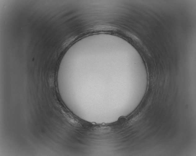 X0000067330833200604211907