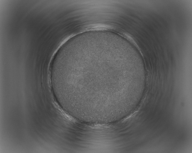 X0000067330835200604211907
