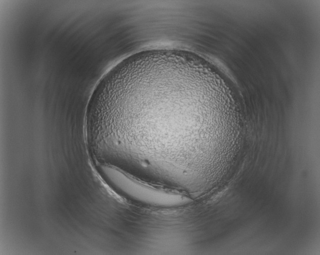 X0000067330839200604211907