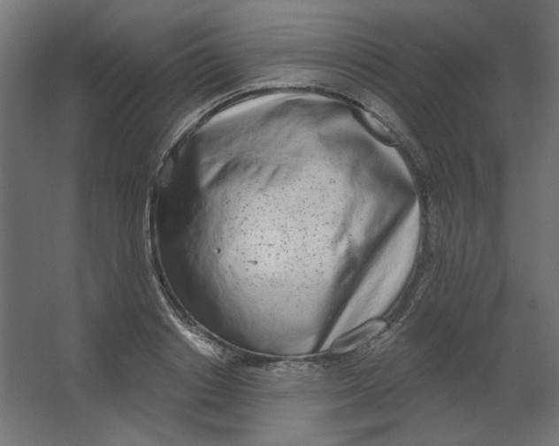 X0000067330842200604211907