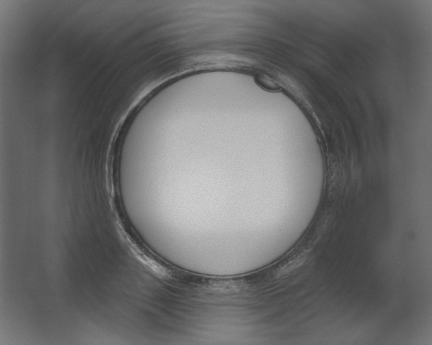 X0000067330843200604211907