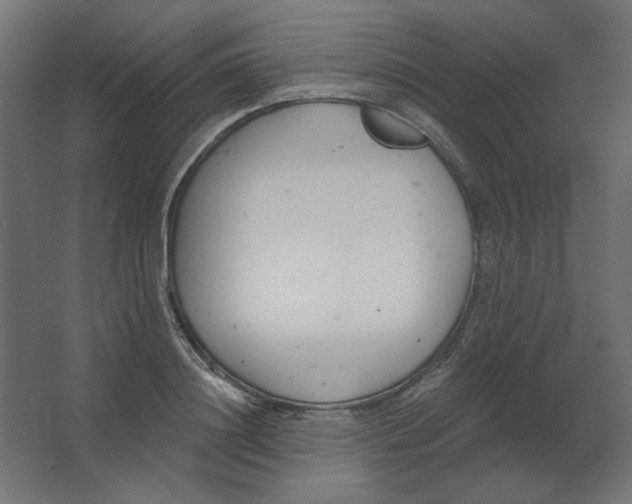 X0000067330844200604211907