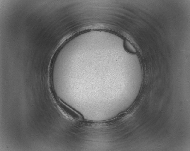 X0000067330845200604211907