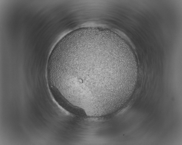 X0000067330855200604211908
