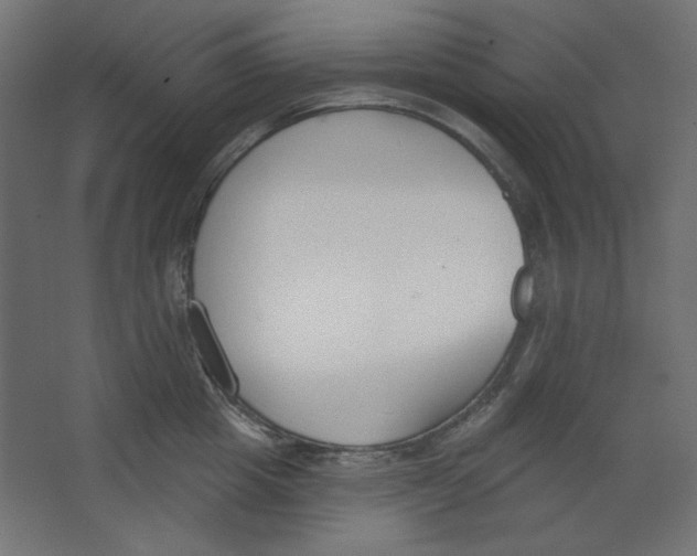 X0000067330857200604211908