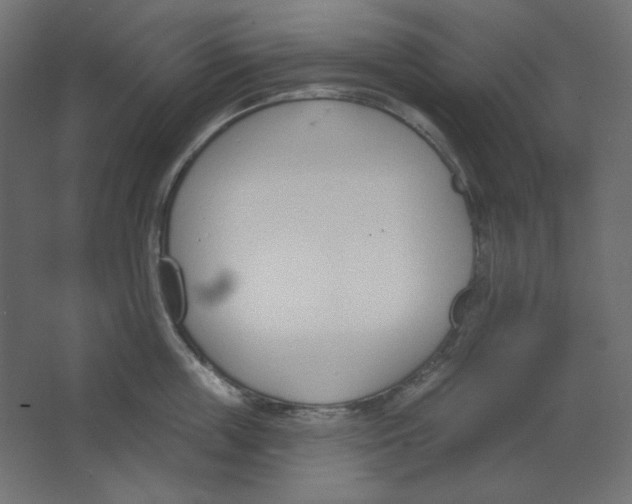 X0000067330859200604211908