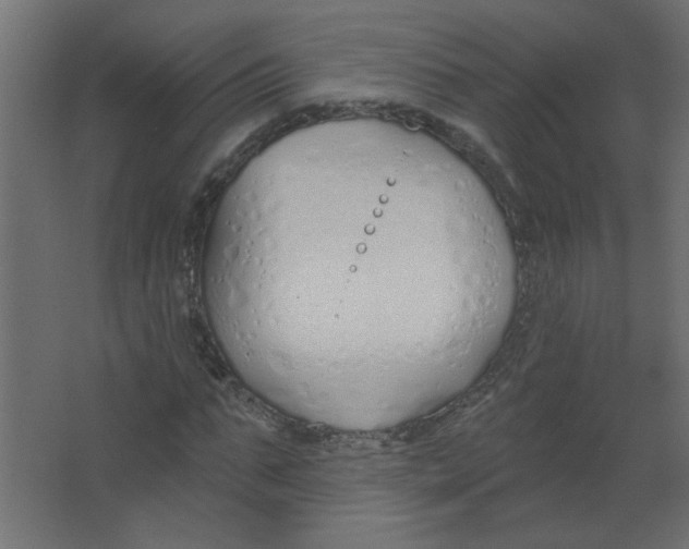 X0000067330871200604211907