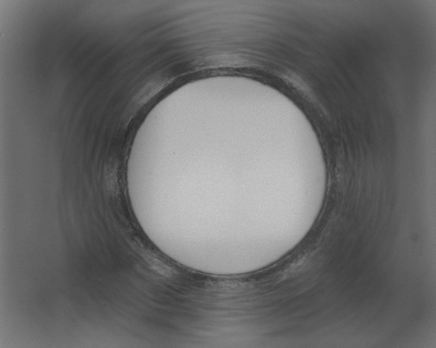 X0000067330873200604211907