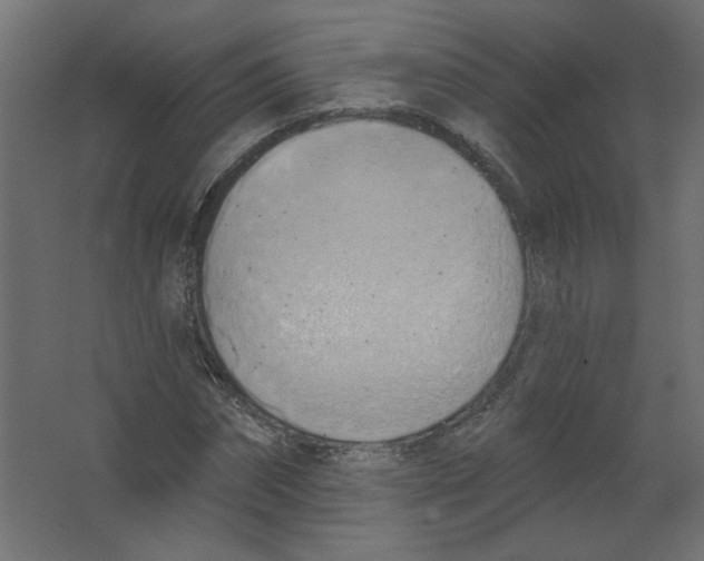 X0000067330874200604211907