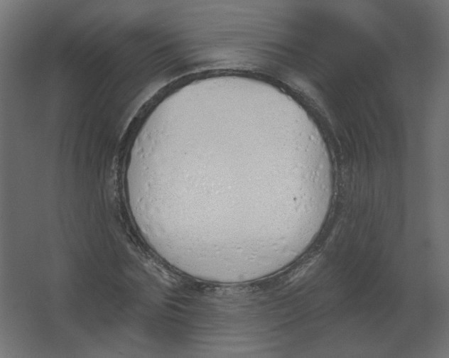 X0000067330875200604211907