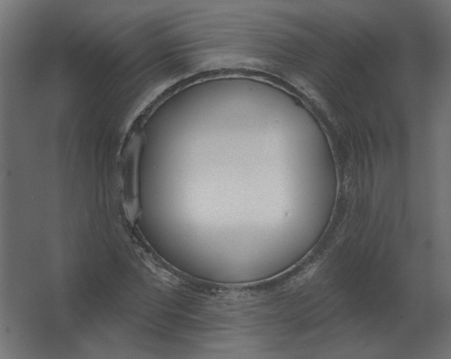 X0000067330877200604211907