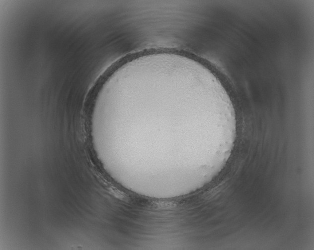 X0000067330878200604211907