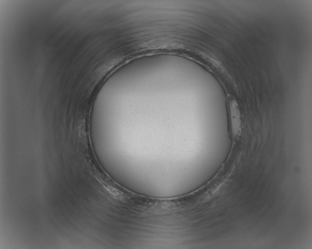 X0000067330881200604211907