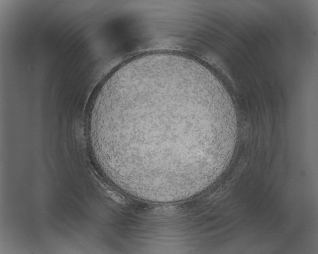 X0000067330882200604211907