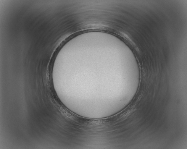 X0000067330883200604211907
