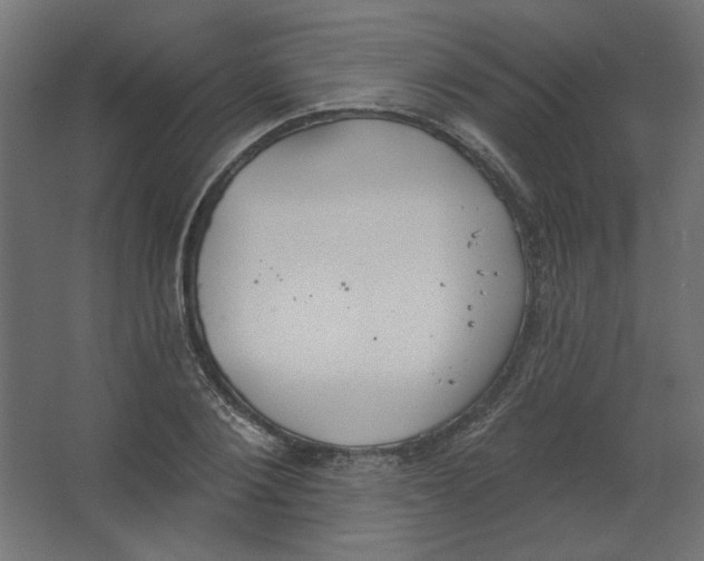 X0000067330884200604211907