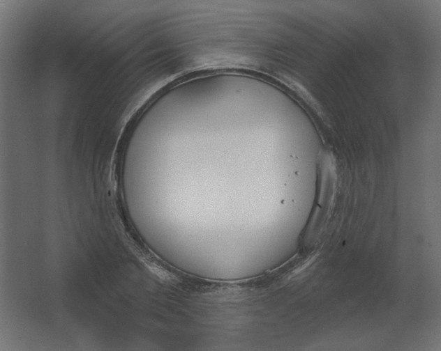 X0000067330885200604211907