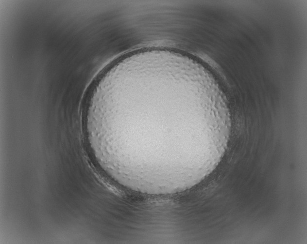 X0000067330886200604211907