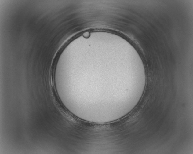 X0000067330887200604211906