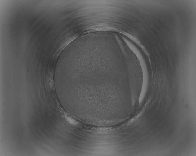 X0000067330889200604211906