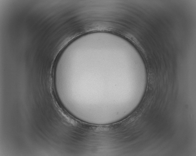 X0000067330890200604211906