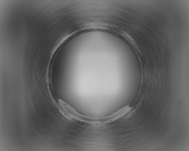 X0000067330893200604211906