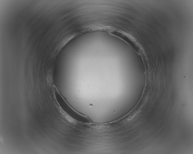 X0000067330897200604211906