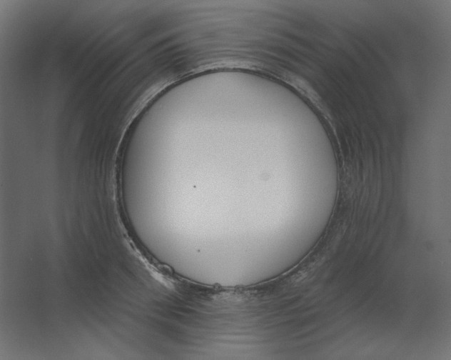 X0000067330898200604211906