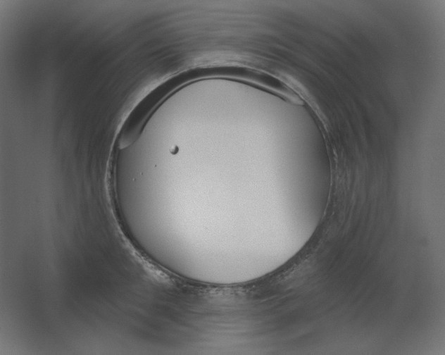 X0000067330901200604211906