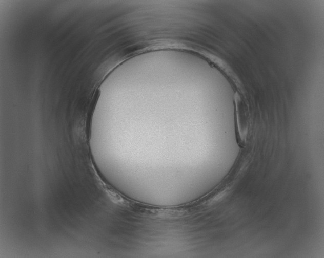 X0000067330905200604211906